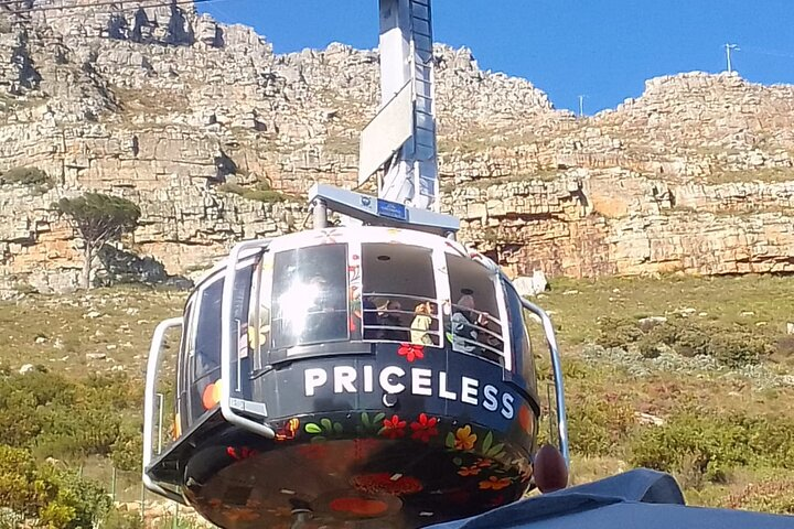 Private Full-Day City & Constantia Wine Valley Tour - Photo 1 of 14